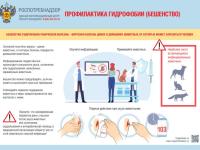 Роспотребнадзор напоминает о профилактике бешенства