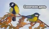день синички день синички